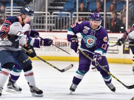 Rylan Schwartz, Orlando Solar Bears, Kalamazoo Wings