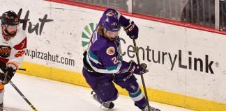 Johnny McInnis, Orlando Solar Bears, Indy Fuel