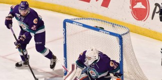 Ryan Massa, Orlando Solar Bears