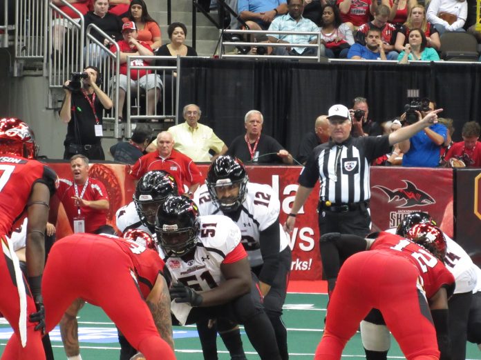 Randy Hippeard, Orlando Predators