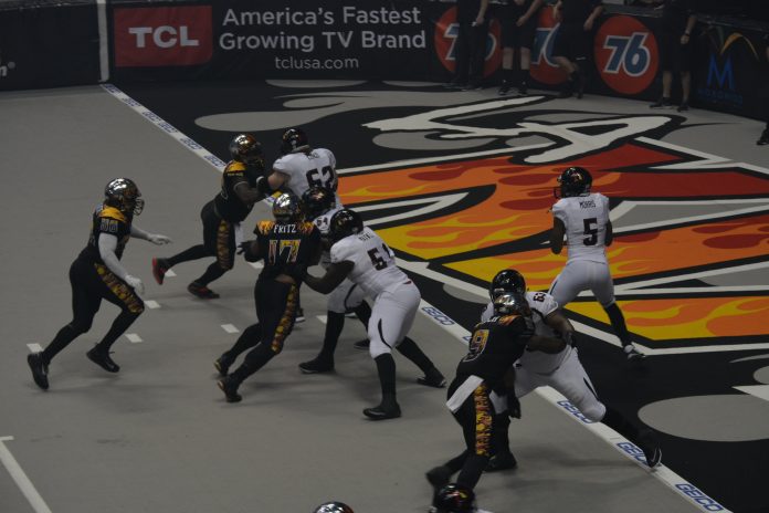 Bernard Morris, Orlando Predators