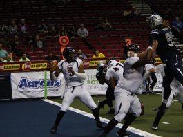 Bernard Morris, Orlando Predators, Portland Steel