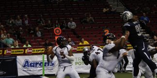 Bernard Morris, Orlando Predators, Portland Steel