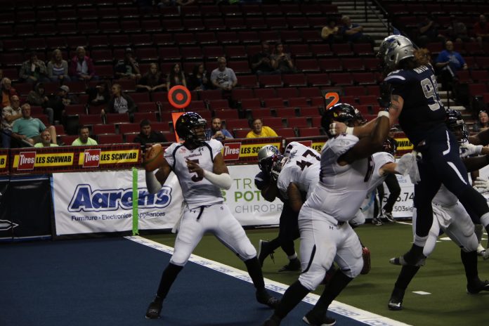 Bernard Morris, Orlando Predators, Portland Steel